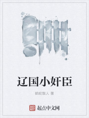 辽国小奸臣