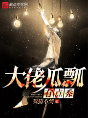 大佬瓜瓢有点秃