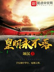 皇明永不落