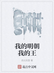 我的明朝我的王