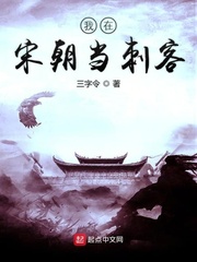 我在宋朝当刺客