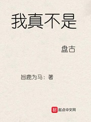 我真不是盘古