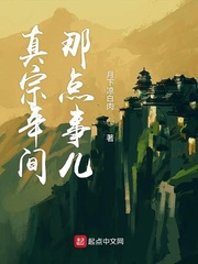 真宗年间那点事儿