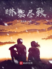 琳黎尽致