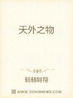 天外之物
