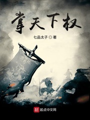 掌天下权