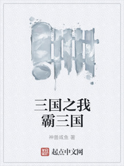 王婿叶凡小说