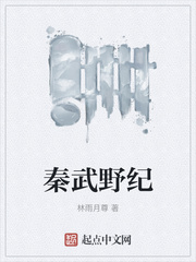 秦武野纪