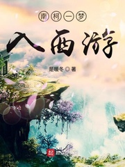南柯一梦入西游