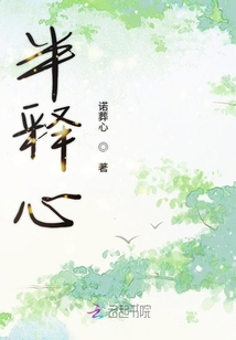 半释心 