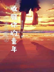 口袋妖怪之收服你的童年 