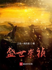 盛世崇祯