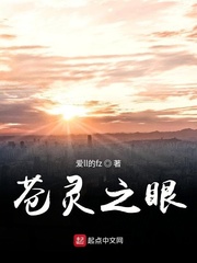 苍灵之眼