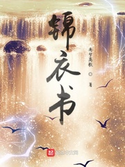 锦衣书