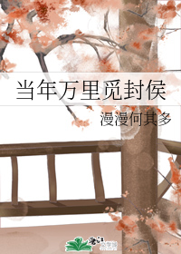 当年万里觅封侯