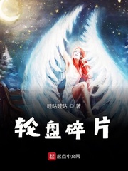 轮盘碎片