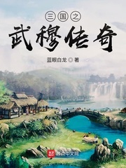 三国之武穆传奇