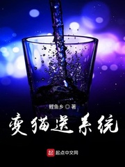 变猫送系统