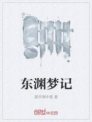 东渊梦记