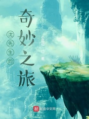 沈先生的奇妙之旅