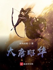 大唐昭华