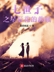 七世子之星辰花的救赎
