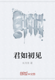 君如初见