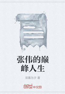 张伟的巅峰人生