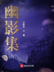 幽影集
