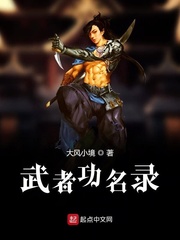 武者功名录