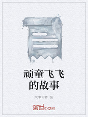 顽童飞飞的故事
