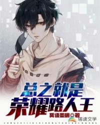 总之就是荣耀路人王