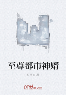 至尊都市神婿