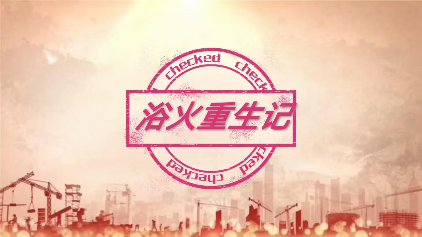 四合院之我是不一样的何雨柱