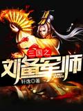 三国之刘备军师