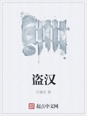 盗汉
