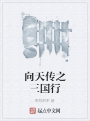 向天传之三国行