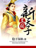 三国新天子