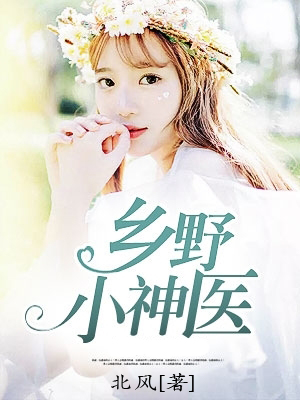 乡野小神医(北风)