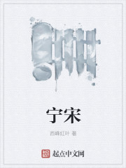 宁宋