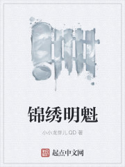 锦绣明魁